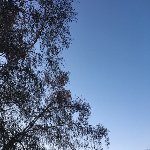 Meet your Posher, Ava - Picture 1 of 1